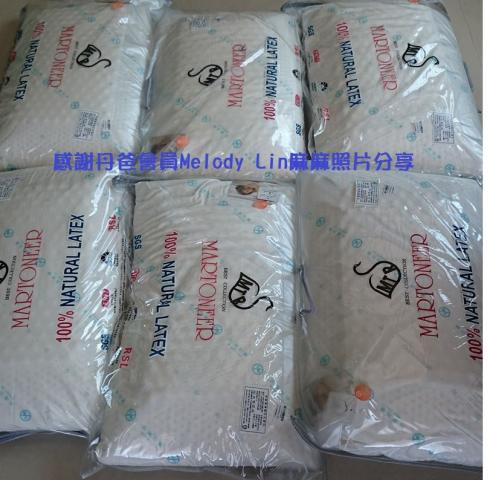 單購 鴻宇 美國標準顆粒乳膠枕(100％純棉表布/通過SGS檢驗 