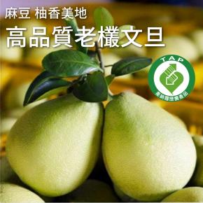 10斤/約11-14顆）【柚香美地】要幸福柚 麻豆文旦