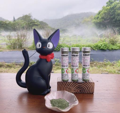 (一組/兩管)有機乾燥荊芥(乾燥貓薄荷50ML)台灣市面上第一 