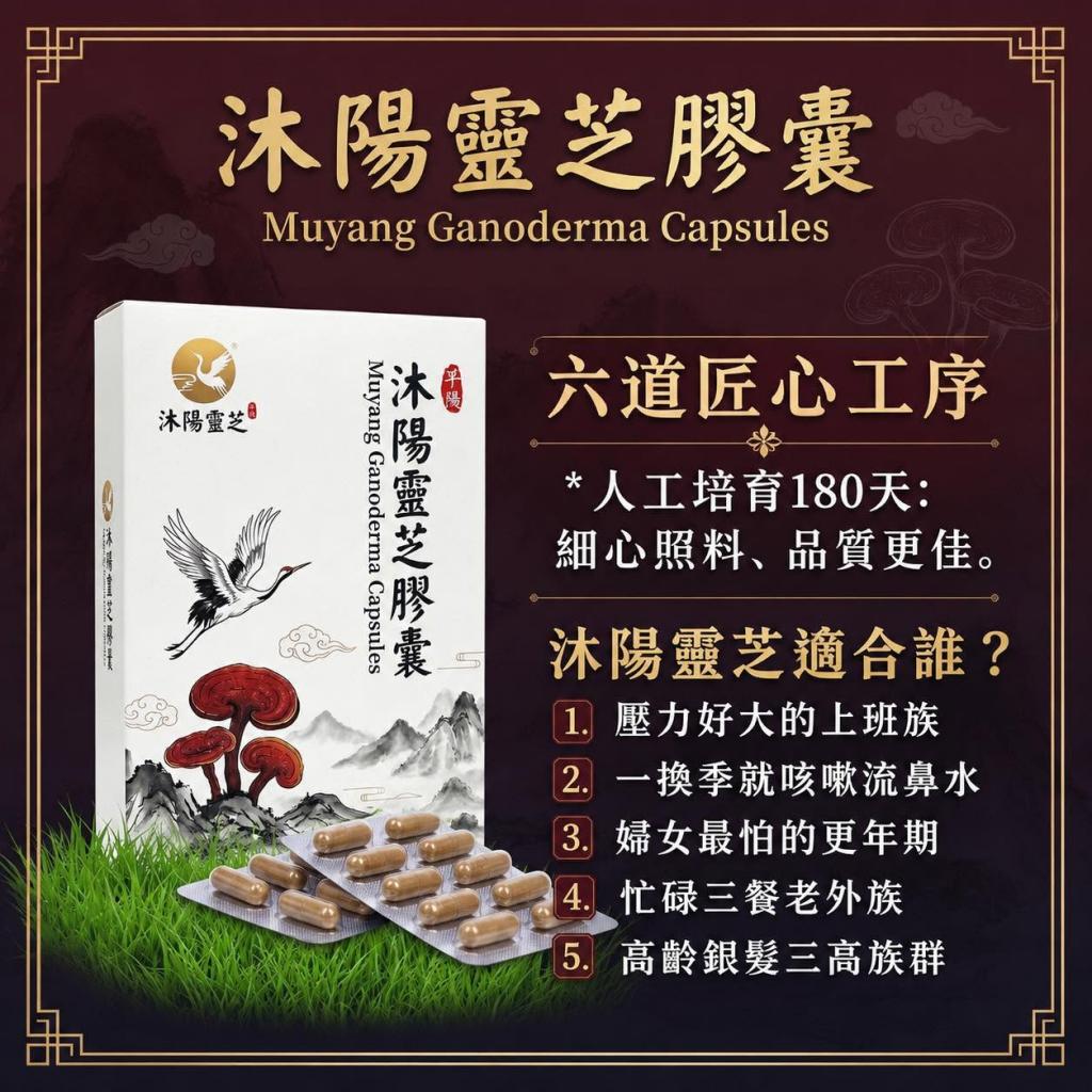 即期優惠價 沐陽靈芝膠囊(60顆/盒)效期2026-09-01 @保健食 