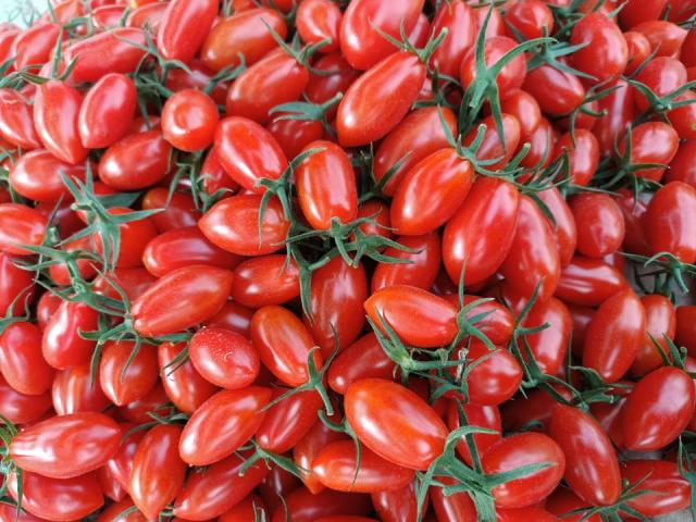 番茄 水果 農產品