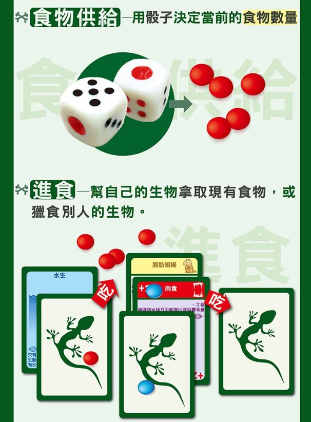 桌上遊戲