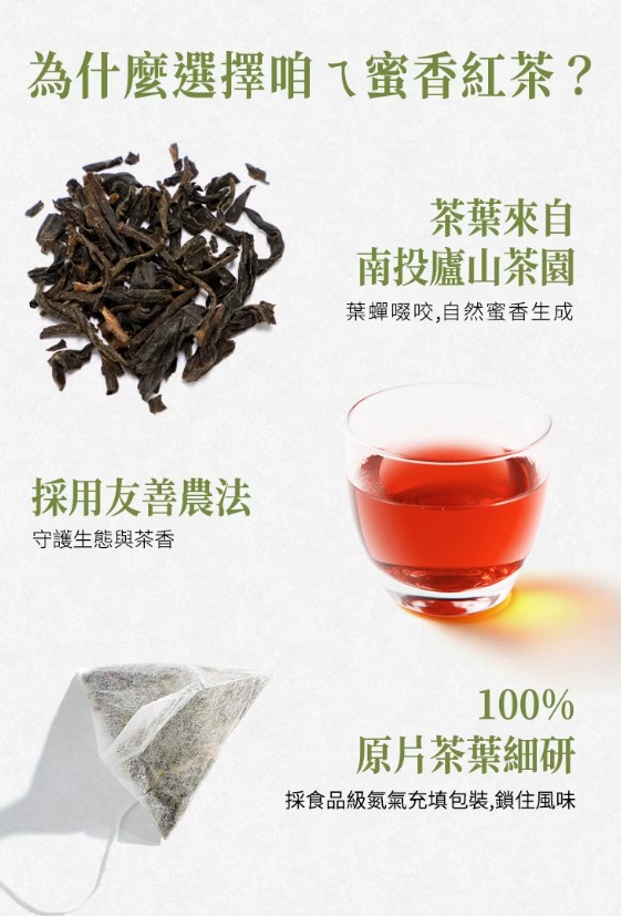 茶包冷泡茶綠茶