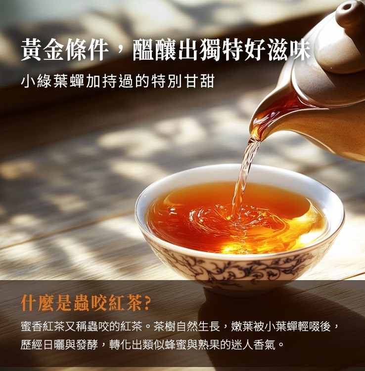 茶包冷泡茶綠茶