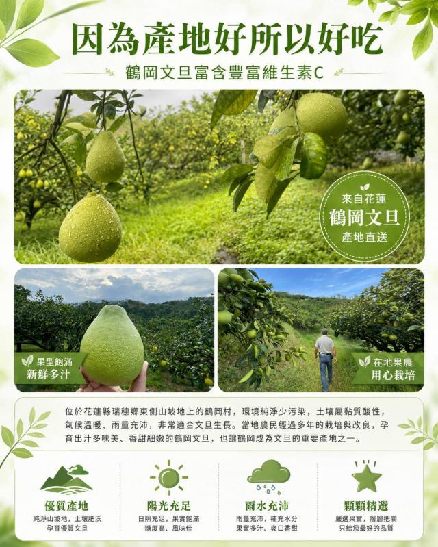 中秋節伴手禮柚子